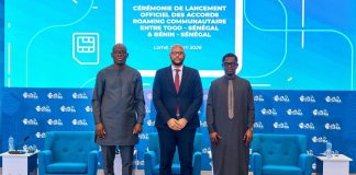 Free roaming Sénégal, Togo, Bénin