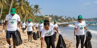Ecojogging