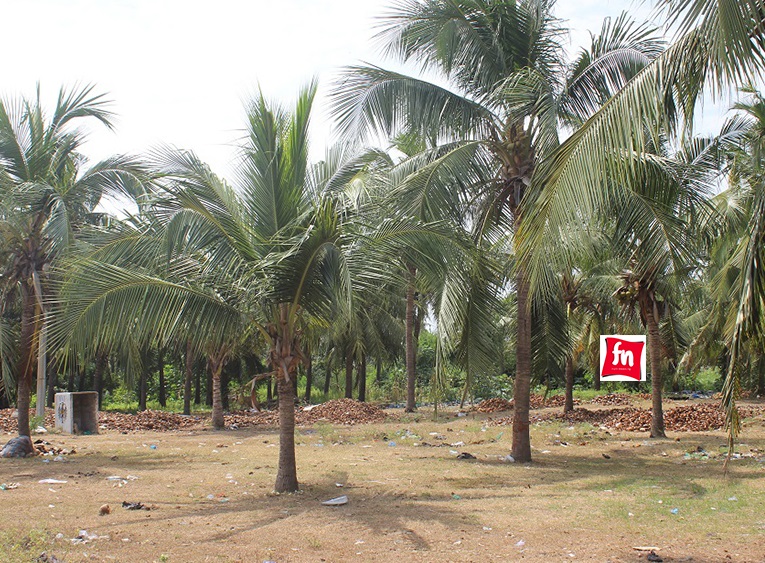 Plages de Lomé